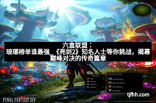 六盒联盟：琅琊榜单谁最强_《亮剑2》知名人士等你挑战，揭幕巅峰对决的传奇篇章